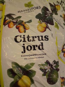 Citrus jord